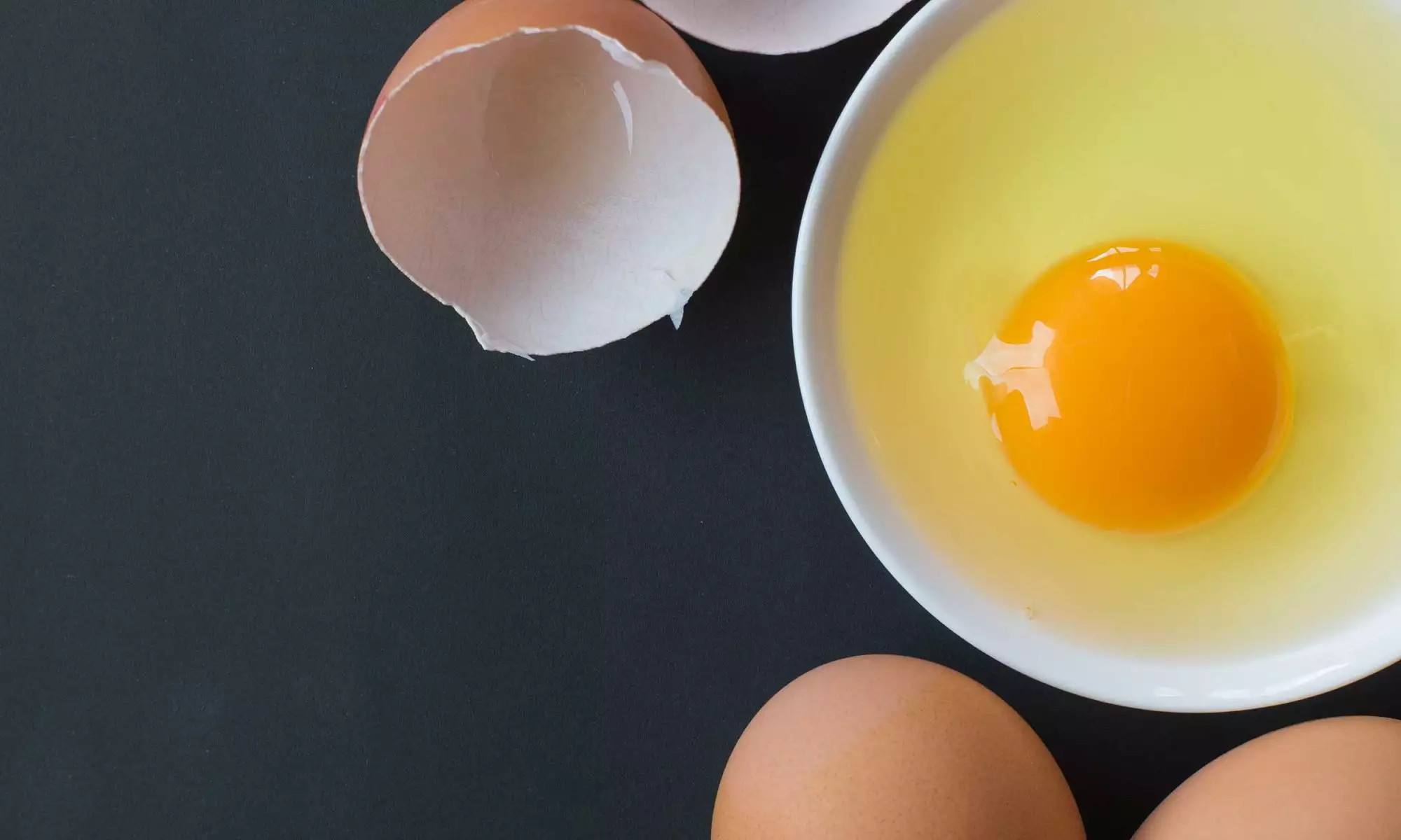 How much protein is in an egg