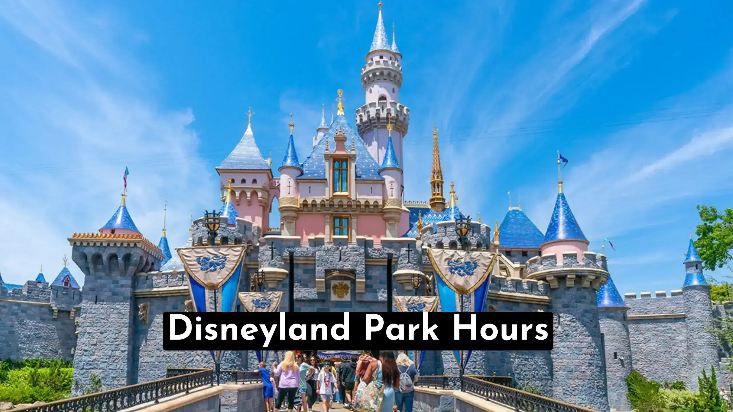 Disneyland Hours: